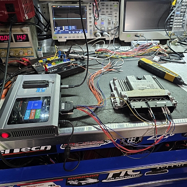 Programming and Cloning